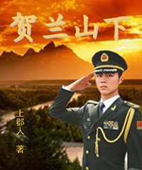 贺兰山下