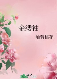 《金缕袖》