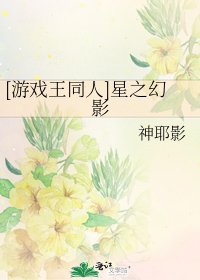[游戏王同人]星之幻影