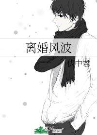 《离婚风波》