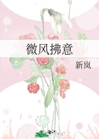 微风拂意