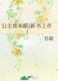公主夜未眠(新书上市)