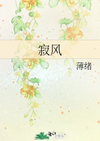《寂风》