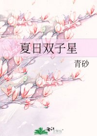 《夏日双子星》