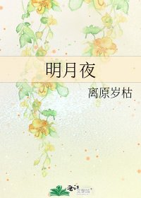 明月夜