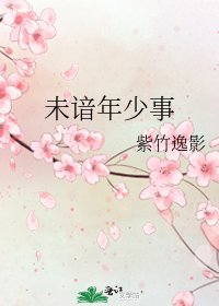未谙年少事