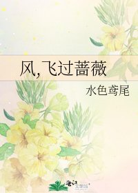 《风,飞过蔷薇》