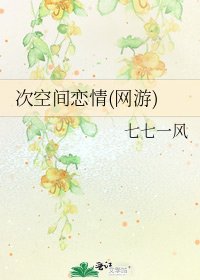 《次空间恋情(网游)》