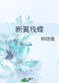 《断翼残蝶》