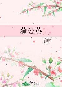 蒲公英