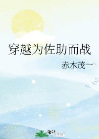 穿越为佐助而战
