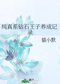 纯真系钻石王子养成记录