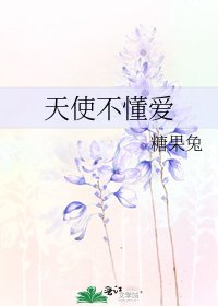 《天使不懂爱》