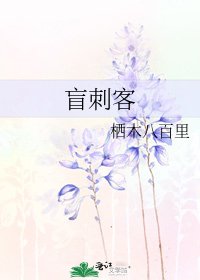 《盲刺客》