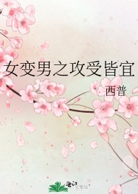 女变男之攻受皆宜