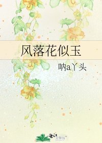 《风落花似玉》