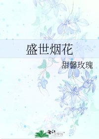 《盛世烟花》
