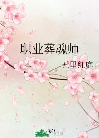 职业葬魂师