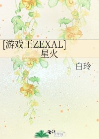 [游戏王ZEXAL]星火