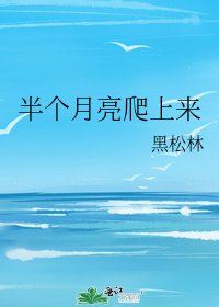 半个月亮爬上来