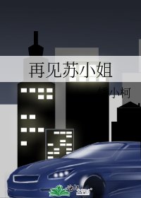 再见苏小姐