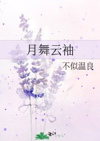 《月舞云袖》
