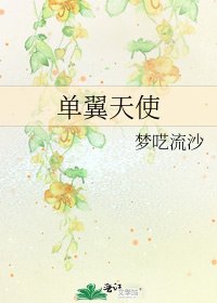 单翼天使