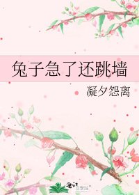 《兔子急了还跳墙》