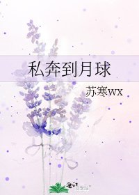 私奔到月球