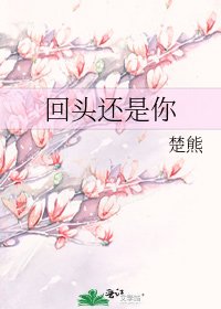 回头还是你