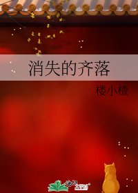 《消失的齐落》