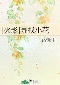 [火影]寻找小花