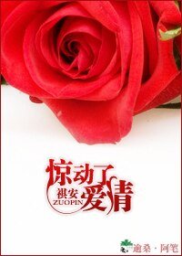 惊动了爱情（高干情人）