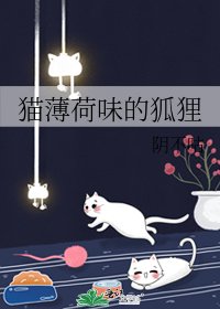 猫薄荷味的狐狸