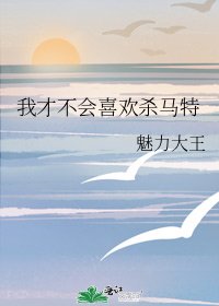 《我才不会喜欢杀马特》