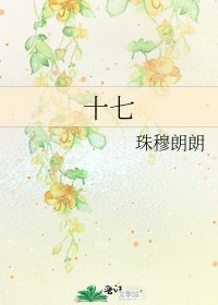十七