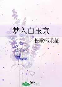 梦入白玉京