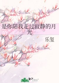 《是你陪我走过寂静的月光》