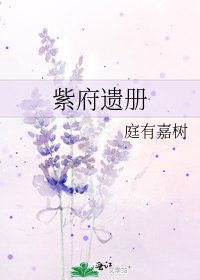 《紫府遗册》