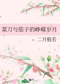 菜刀与茄子的峥嵘岁月