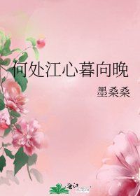 《何处江心暮向晚》