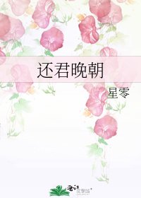 还君晚朝