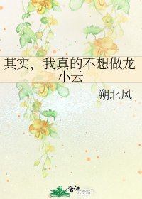其实，我真的不想做龙小云