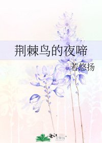 《荆棘鸟的夜啼》