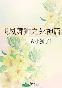 飞凤舞狮之死神篇