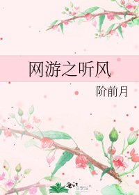 《网游之听风》