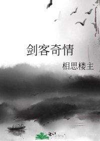 剑客奇情