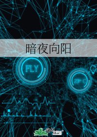 暗夜向阳