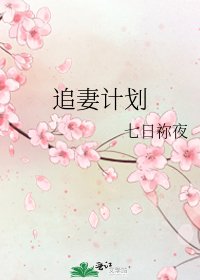 追妻计划