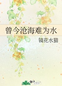曾今沧海难为水